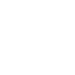 Custom Django Python Development