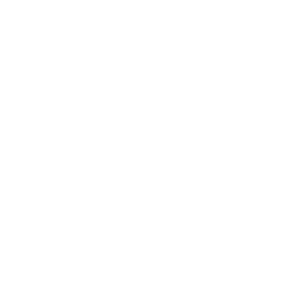 MVP Development