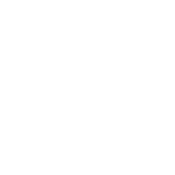 Mobile App Developers