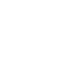 Full Stack Developers