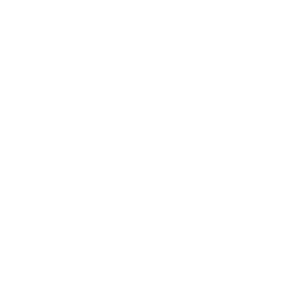 Customized App Development