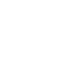 Custom Android App Development