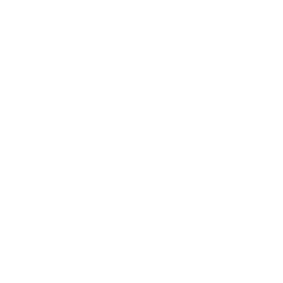Laravel API Development