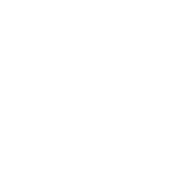 Performance Engineering Services