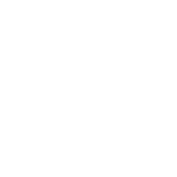 Software Verification & Validation