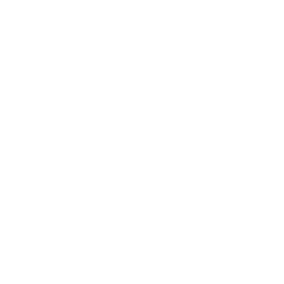 Corporate App Development
