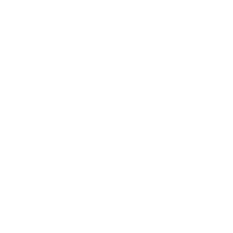 Yii Support & Maintenance