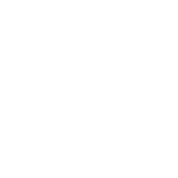 Wide Domain Knowledge