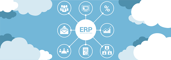 How Does Custom ERP Software Impact Your Business Process?