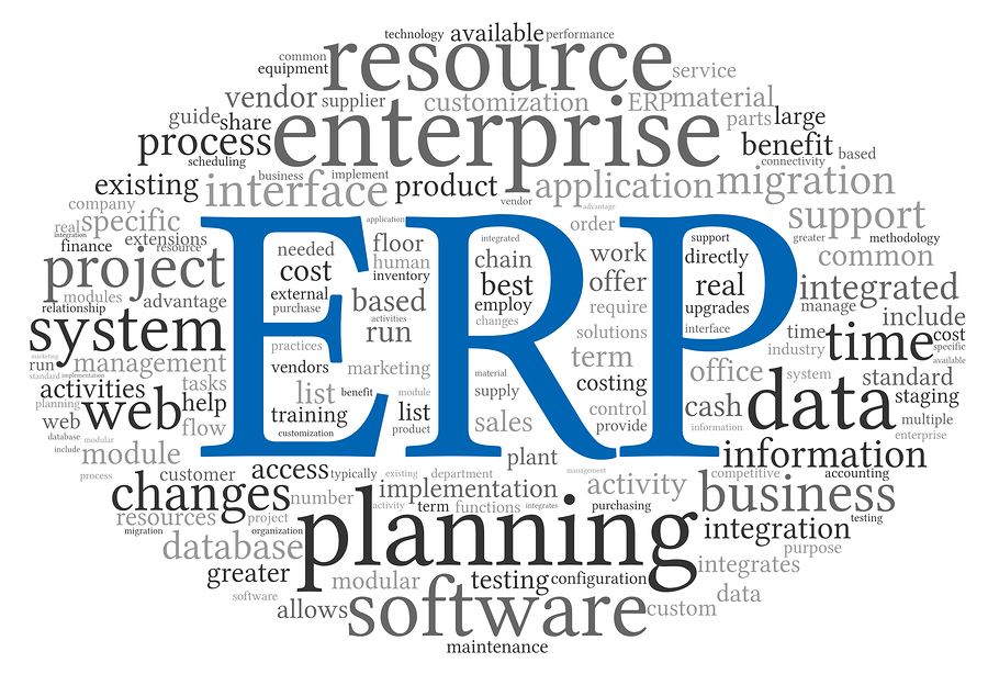 ERP Planning Systems Development in India